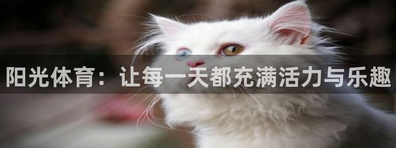 凯发官网下载招商电话是多少啊:阳光体育:让每一天都充满活力与