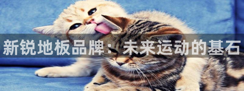 凯发官网下载注册:新锐地板品牌:未来运动的基石